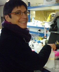 Celia lab 1